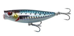 Savage Gear 3D Minnow Pop Walker 5.5cm 6g F (multiple Options) 10 Savage Gear 3D Minnow Pop Walker 5.5cm 6g F (multiple Options) -Savage Gear 004d2f9ee0dd0efe