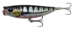 Savage Gear 3D Minnow Pop Walker 8cm 14g F (multiple Options) -Savage Gear 33f248a528f34963