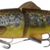 Savage Gear 4D Line Thru Trout 40cm Limited Edition!