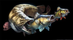 Savage Gear Cannibal T-shirt -Savage Gear cd9c0c7ea07202f3