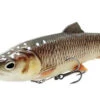 Savage Gear 4D Line Thru Pulsetail Trout Slow Sinking 25cm (202g)